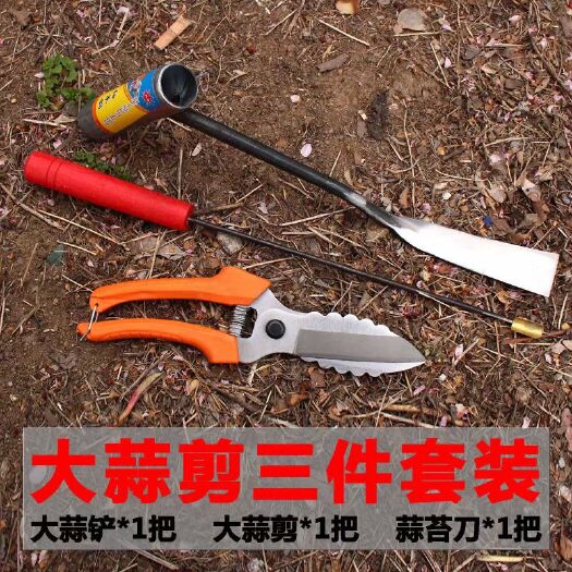 大蒜专用剪刀大蒜剪蒜剪洋葱剪大蒜
