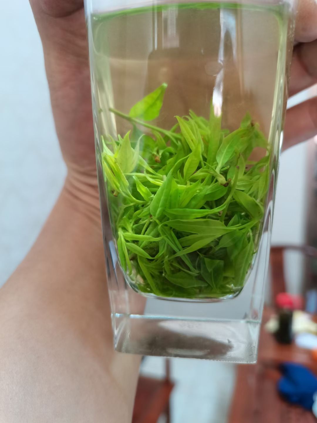 苦丁茶 小叶苦丁腾空出世，颜色绿，口感好。