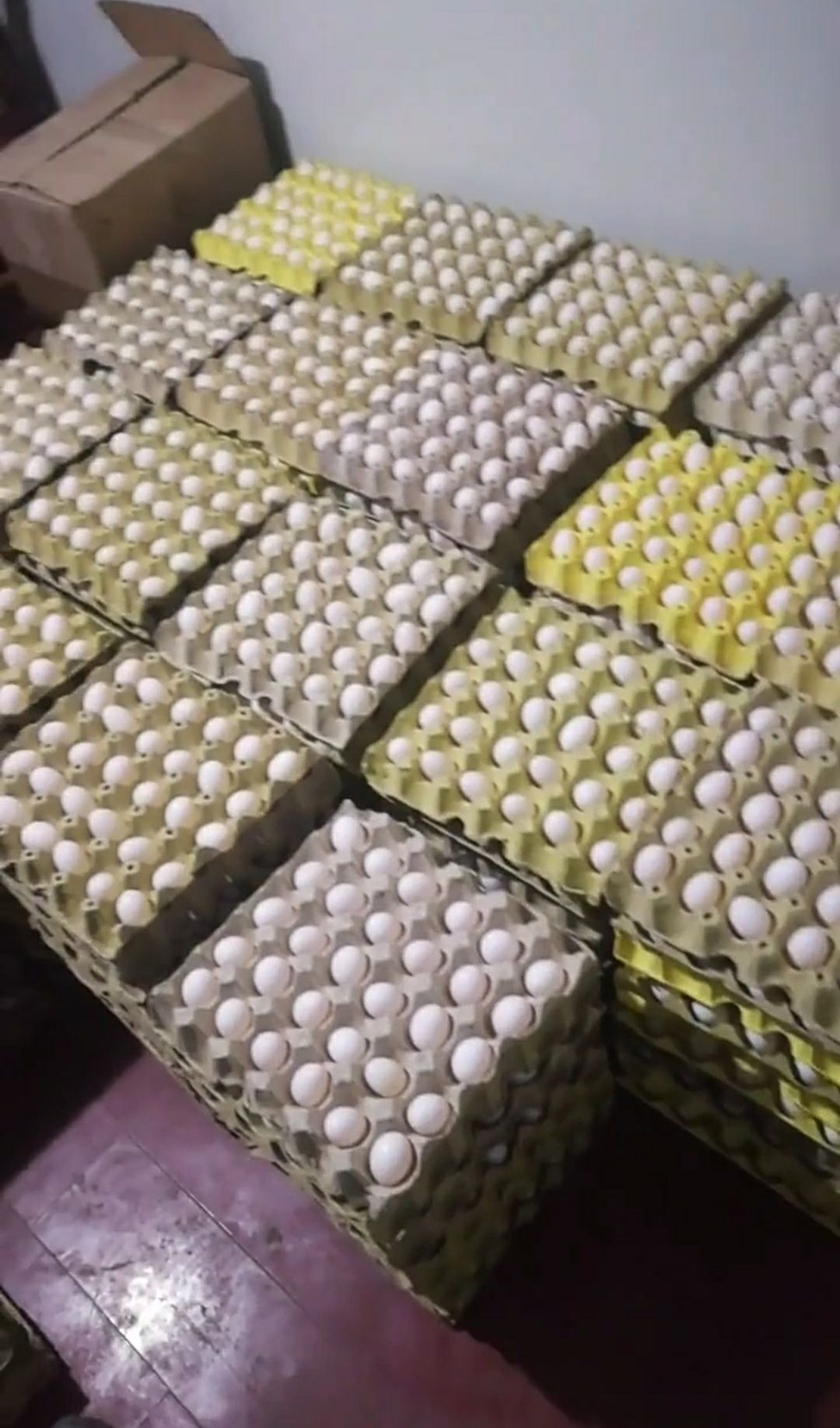 鸽子蛋 新鲜农家原粮现货供应保证新鲜货源稳定常年供应