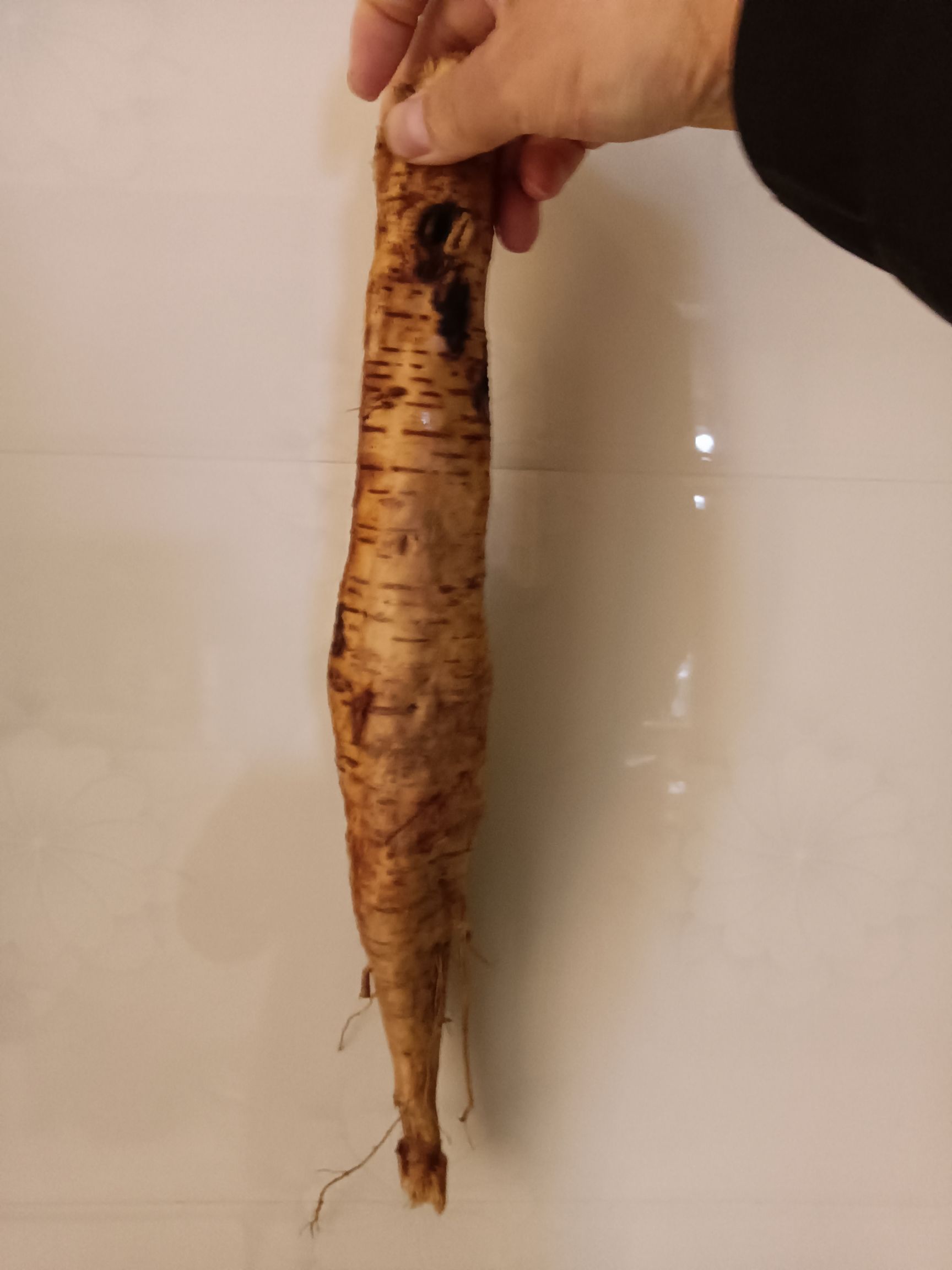 粉葛 贵州省黔南布依族苗族自治州福泉市 1.0-1.5斤 