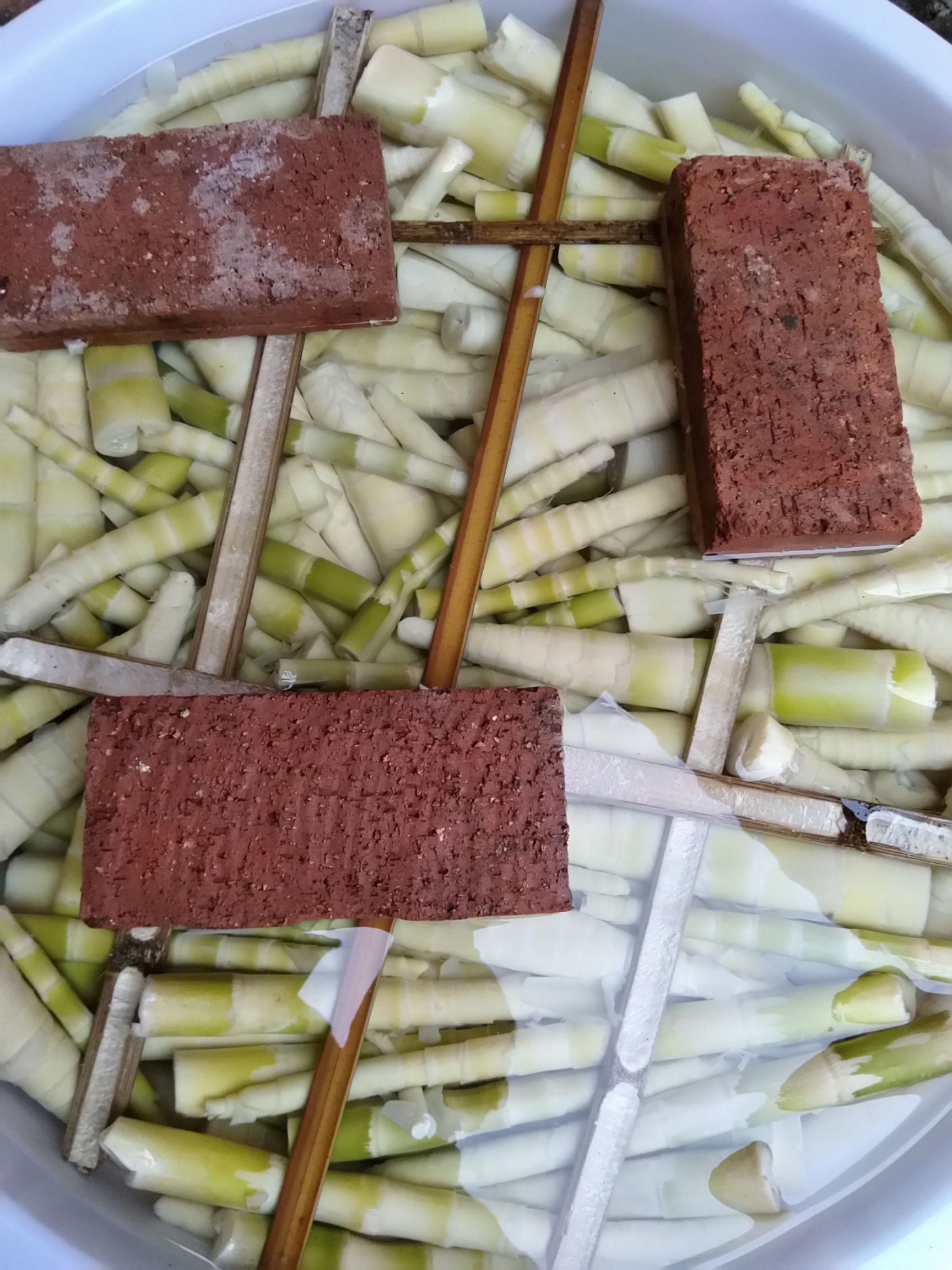 苦笋  《一件代发》广西春笋每天现挖水煮笋甜笋