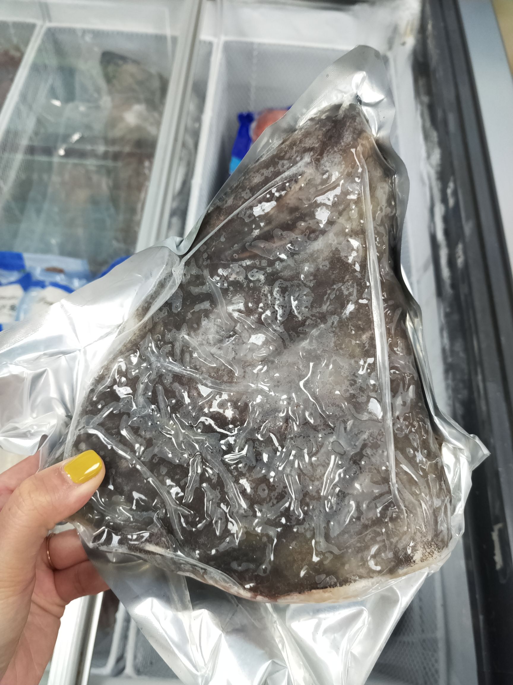 比目鱼  碟鱼头