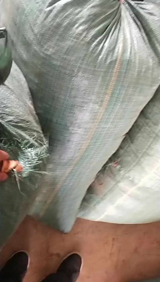 土茯苓薄片厚片大量有货