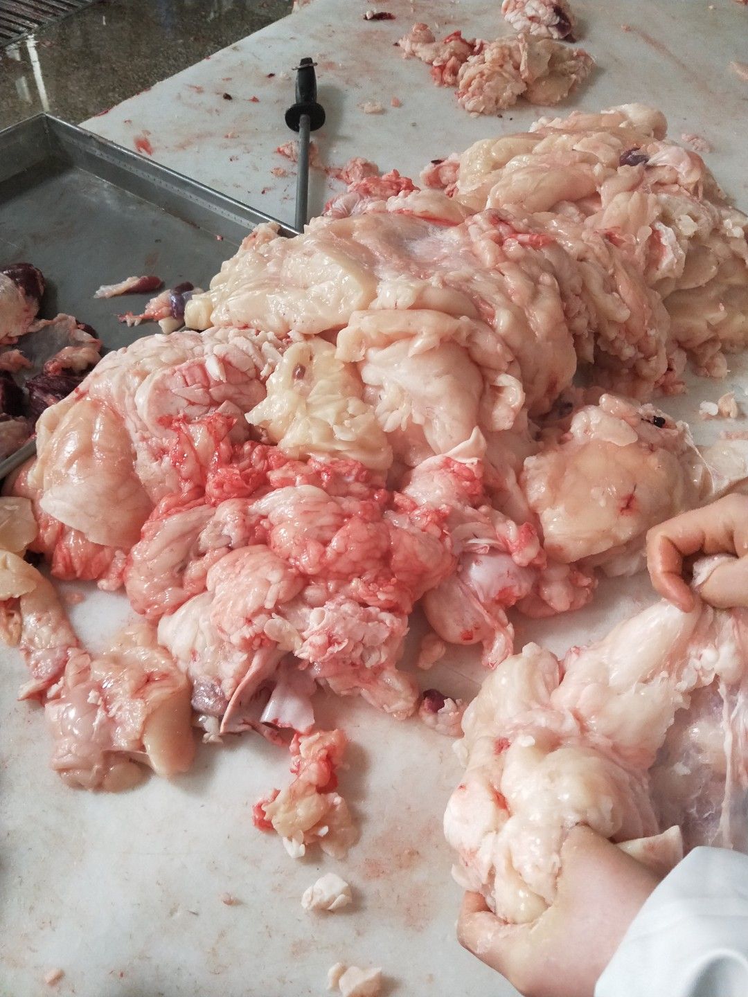 牛油  牛踹油牛腰窝油肚油 牛杂油厂家直销 一首货源 欢迎选购
