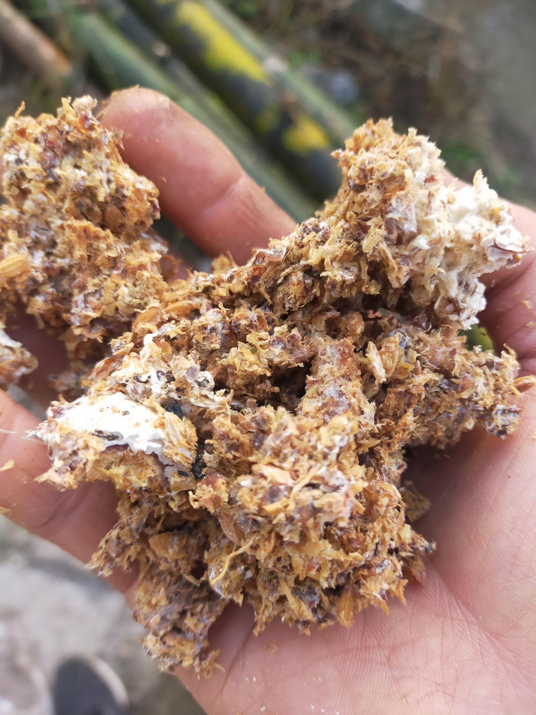 食用菌渣  食用菌废料是非常好的多元素肥料不烧根，很适合种植各种花草树木