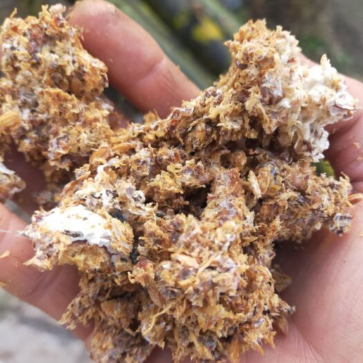 泸县食用菌渣  食用菌废料是非常好的多元素肥料不烧根，很适合种植各种花草树木