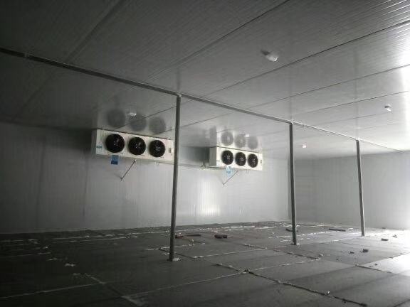 冷库 专业设计按装，急冻库，冷冻库，保鲜库，水果库，汽调库，