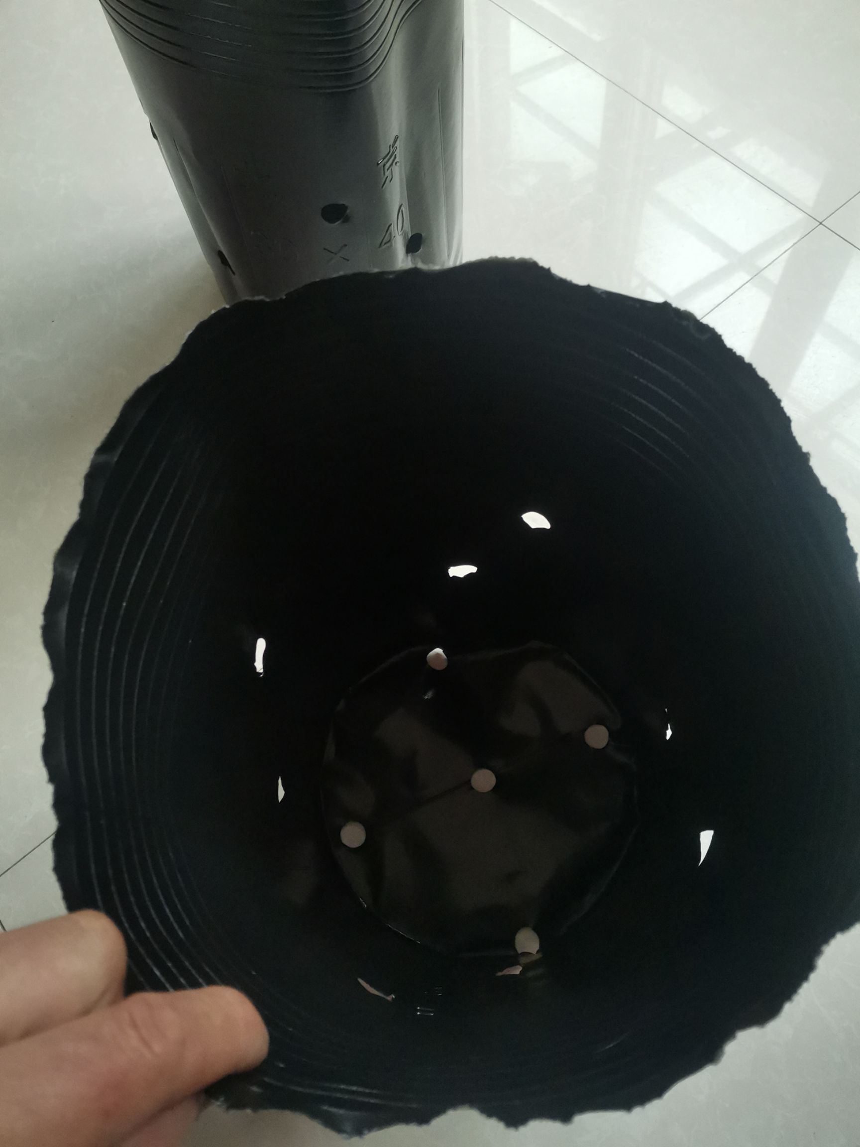 种植箱/育苗箱  新一代防老化育苗杯，35×40/300个一件加厚