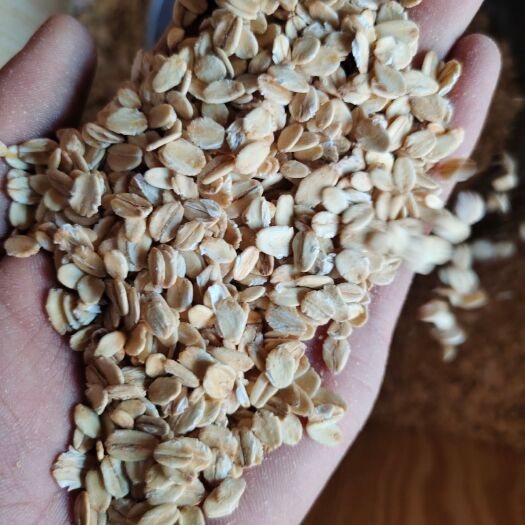 周口燕麦米  燕麦片 麦片 价格美丽 质量好 量大从优