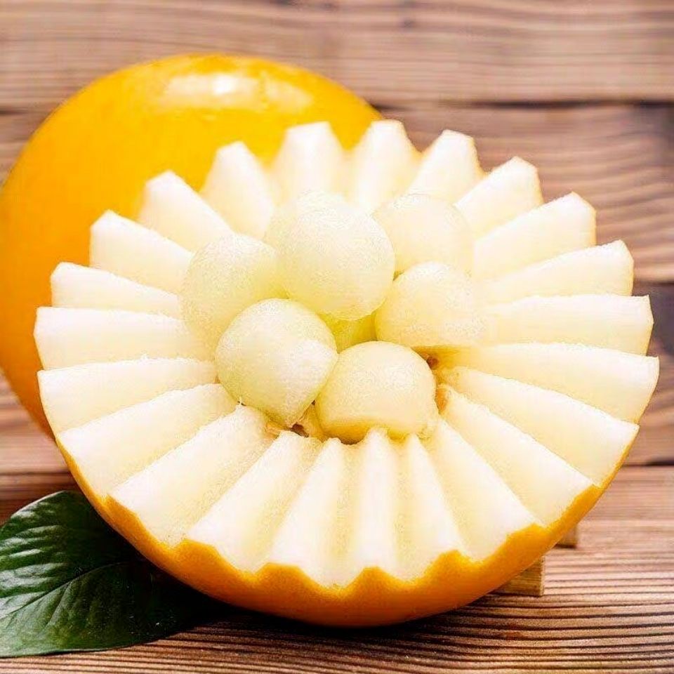 九红瑞 瑞红 黄皮 红瓜 黄河蜜大量对接商超档口，供应电商