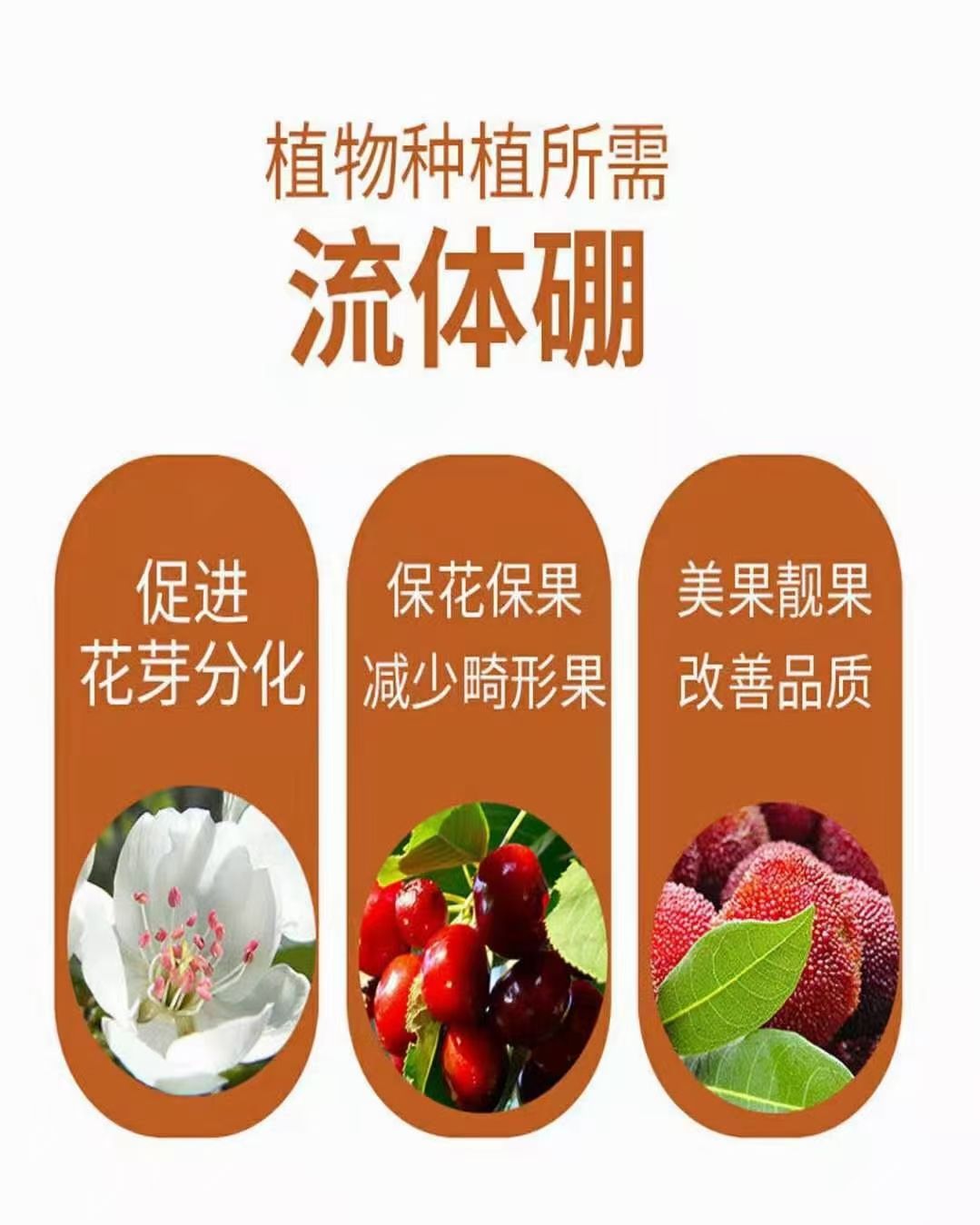 中量元素肥料  流体硼，硼肥，中微量元素，保花保果，提高坐果