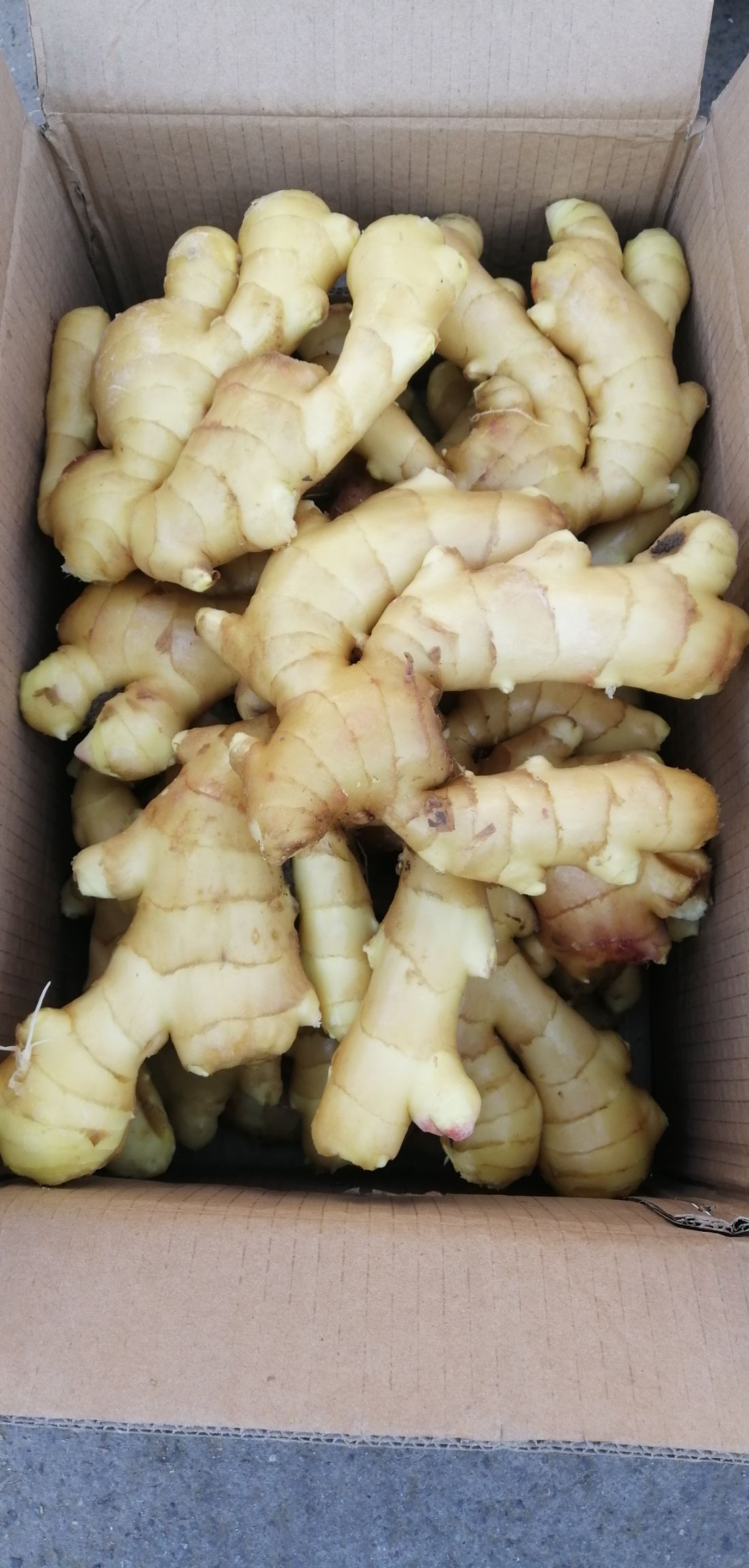 生姜  莱州大姜品质优规模大！价格公道！可视频看货或来人提供住宿！