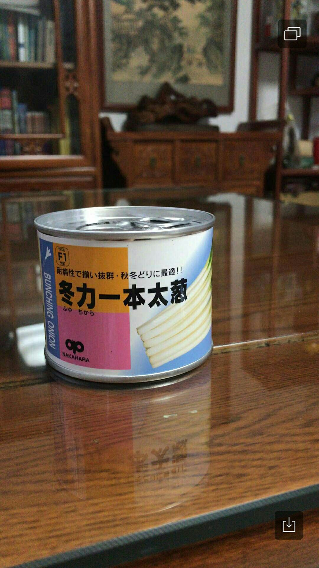 安丘市日本大葱种子  杂交类钢葱种子，冬力一本，耐热，耐涝，中片整齐，产量高。