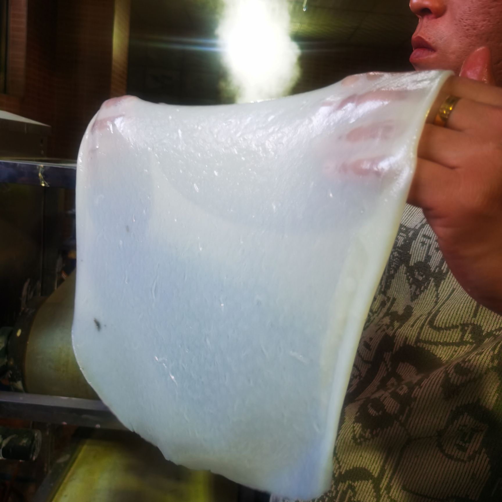  全自动凉皮机 数控智能触摸屏凉皮机 厂家货源质量保证