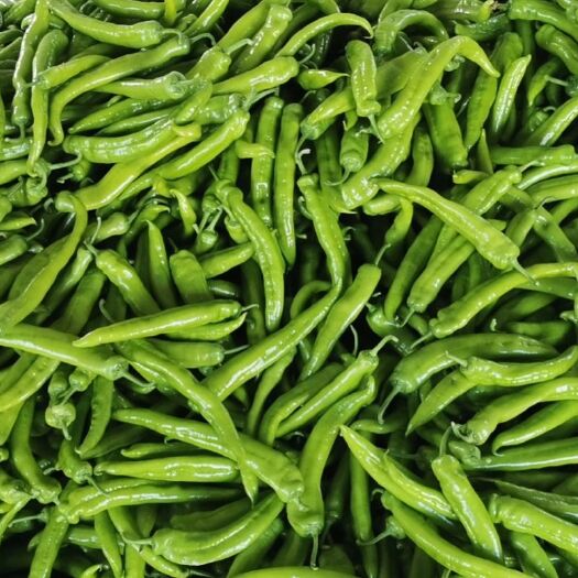 青州市二荆条 山东省潍坊市青州市 