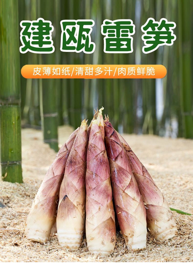 春笋新鲜雷竹笋 原产地直发 1件代发竹笋 福建省南平市建瓯市