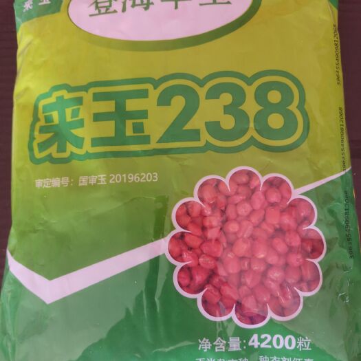 [良玉99玉米种子批发]mc670,国审矮秆抗倒,轴细耐密米质好,一袋一码