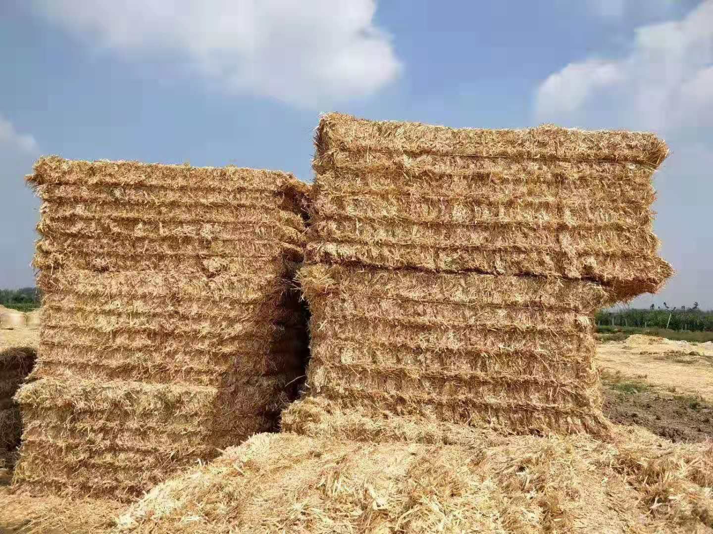 稻草  揉丝压块麦秸，过滚筒筛除尘