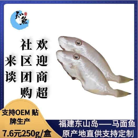 东山县福建东山岛马面鱼   原产地直供发货