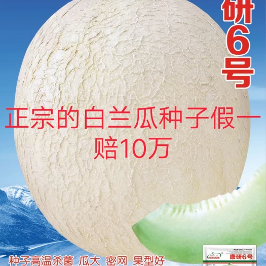 白兰瓜康研6号甜瓜种~74时高温杀菌亩产10000斤抗病性强