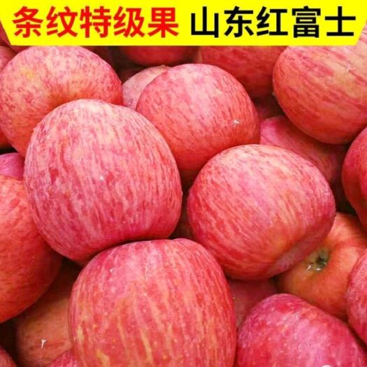 栖霞市红富士苹果  山东烟台冰糖心，嘎嘎脆，水分足，维生素丰富，适宜中老年人。