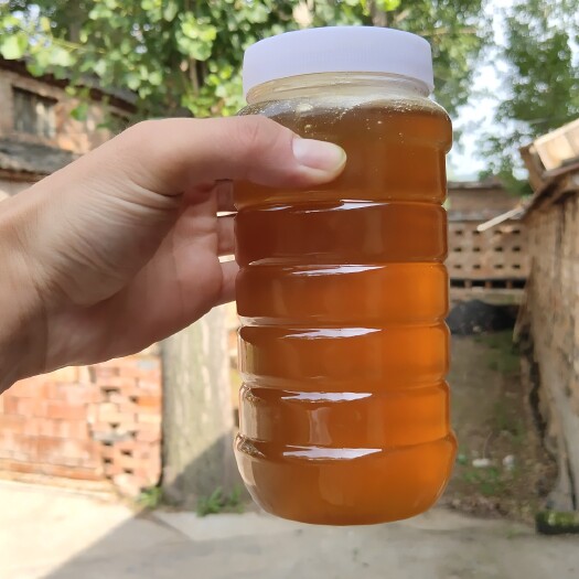 泽州县 蜂蜜纯正天然太行山农家自产家养槐花蜜结晶土蜂蜜成熟自家养蜂