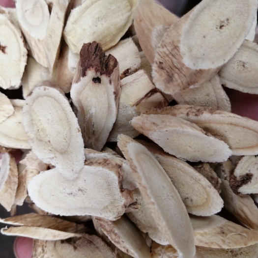 昆明白皮芪  黄芪 金边黄芪 甘肃黄芪