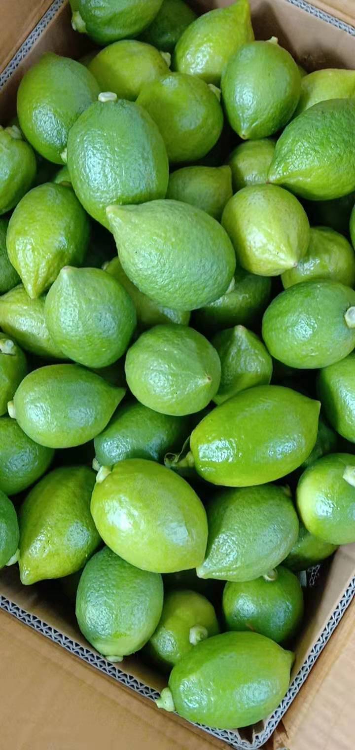 广东无籽香水柠檬一级青果