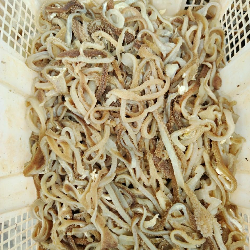 包邮羊肚丝绵羊肚水发羊肚新鲜羊杂四川重庆火锅食材真空包装
