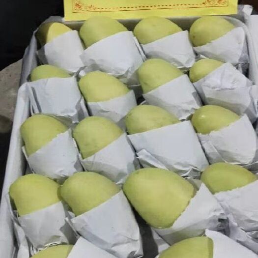 河口县 越南高乐蜜芒果 现货一二级