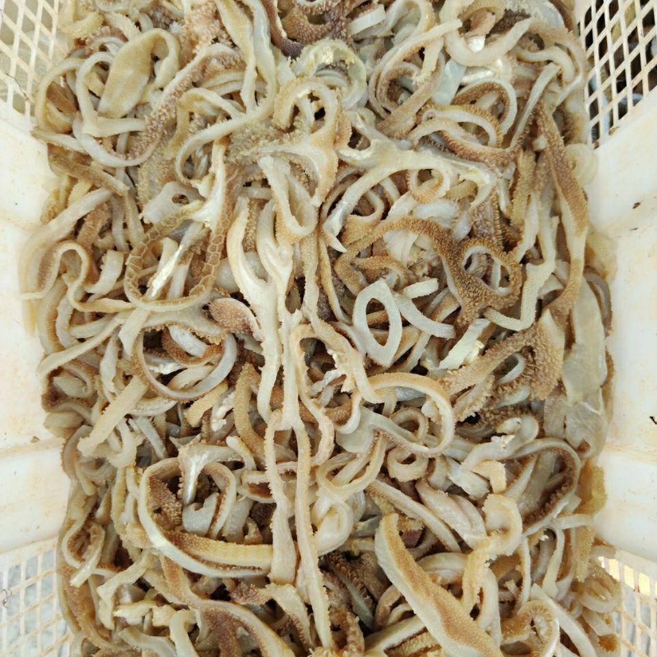 包邮羊肚丝绵羊肚水发羊肚新鲜羊杂四川重庆火锅食材真空包装