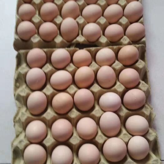 武汉农五农二土鸡蛋日捡日发全国物流价格优惠毛重46-47斤