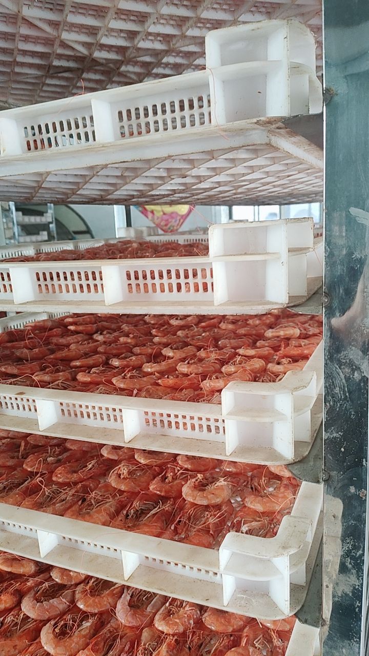 对虾干  特大烤虾