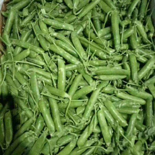  青豌豆，嫩，家中美菜