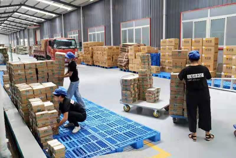 火龙果干  冻干火龙果综合水果脆综合果蔬脆生产厂家