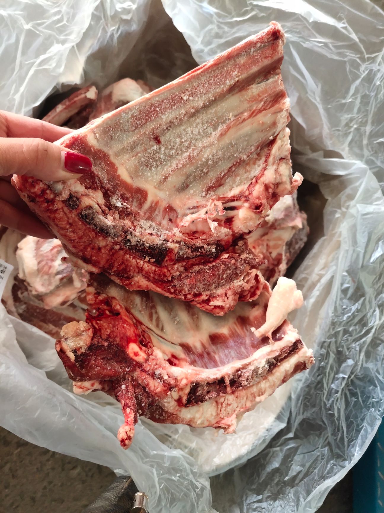锡林浩特【羊小排】肉大羊小排！照片实物拍摄！全国物流冷链发货量大优
