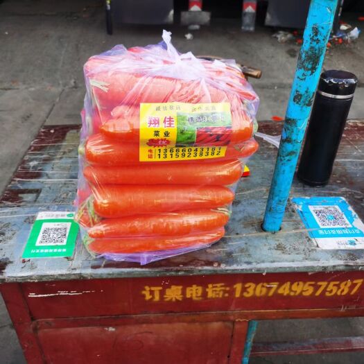中牟县红皮胡萝卜  福建精品胡萝卜
