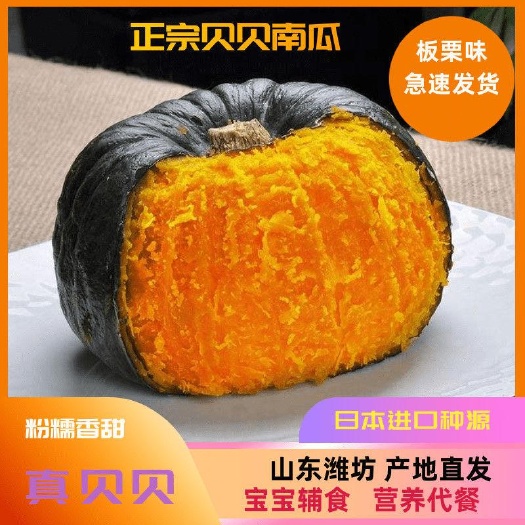 昌乐县贝贝南瓜板栗味宝宝辅食散货微商商标批