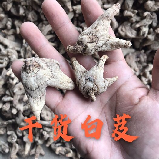 金寨县白及 干货白芨，紫花白芨