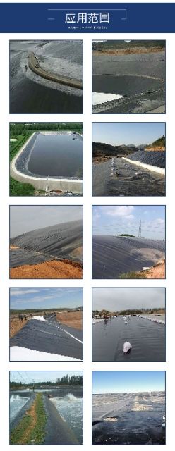 黑色鱼塘防渗膜池塘专用膜鱼池防水布 加厚塑料薄膜土工布土工