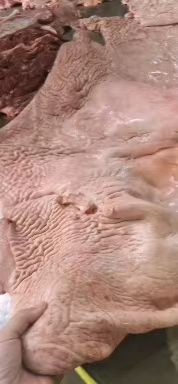 现杀马皮驴皮，水褪毛干净，无油鲜驴皮