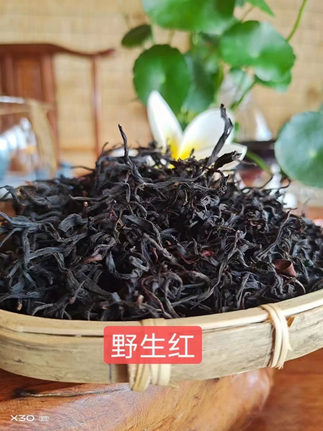  白莺山古树红茶