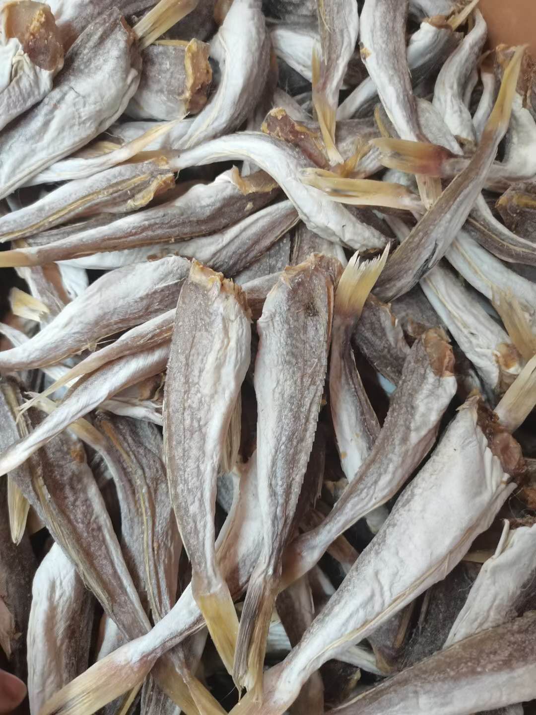 红鱼干  鱼干  红娘鱼干  红头鱼干 【当年现货，卤度百分之五】