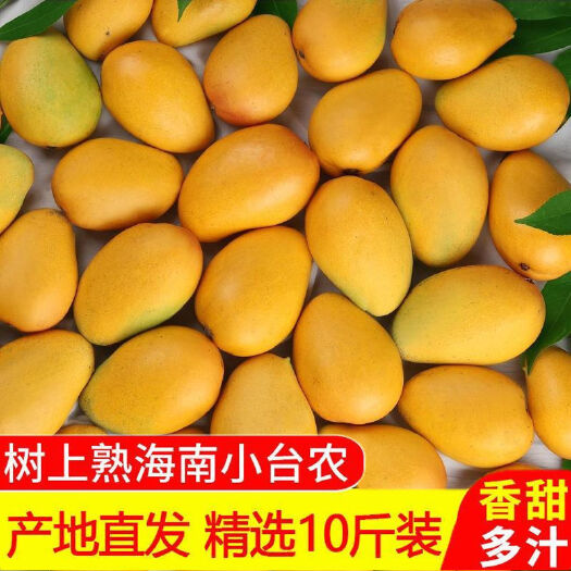 【树上熟芒果】小台农芒果新鲜整箱应季热带水果批发包邮海南