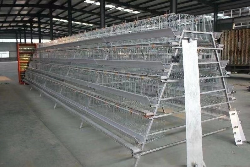 阶梯式鸡笼设备 自动化养鸡设备