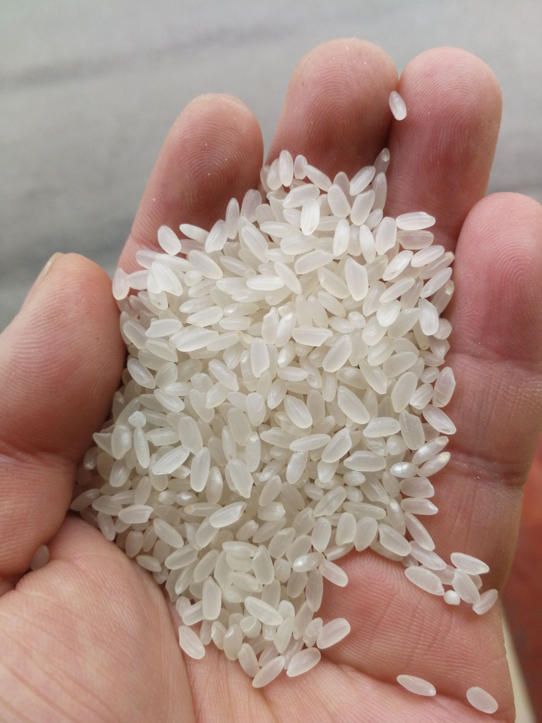 稻花香长粒米