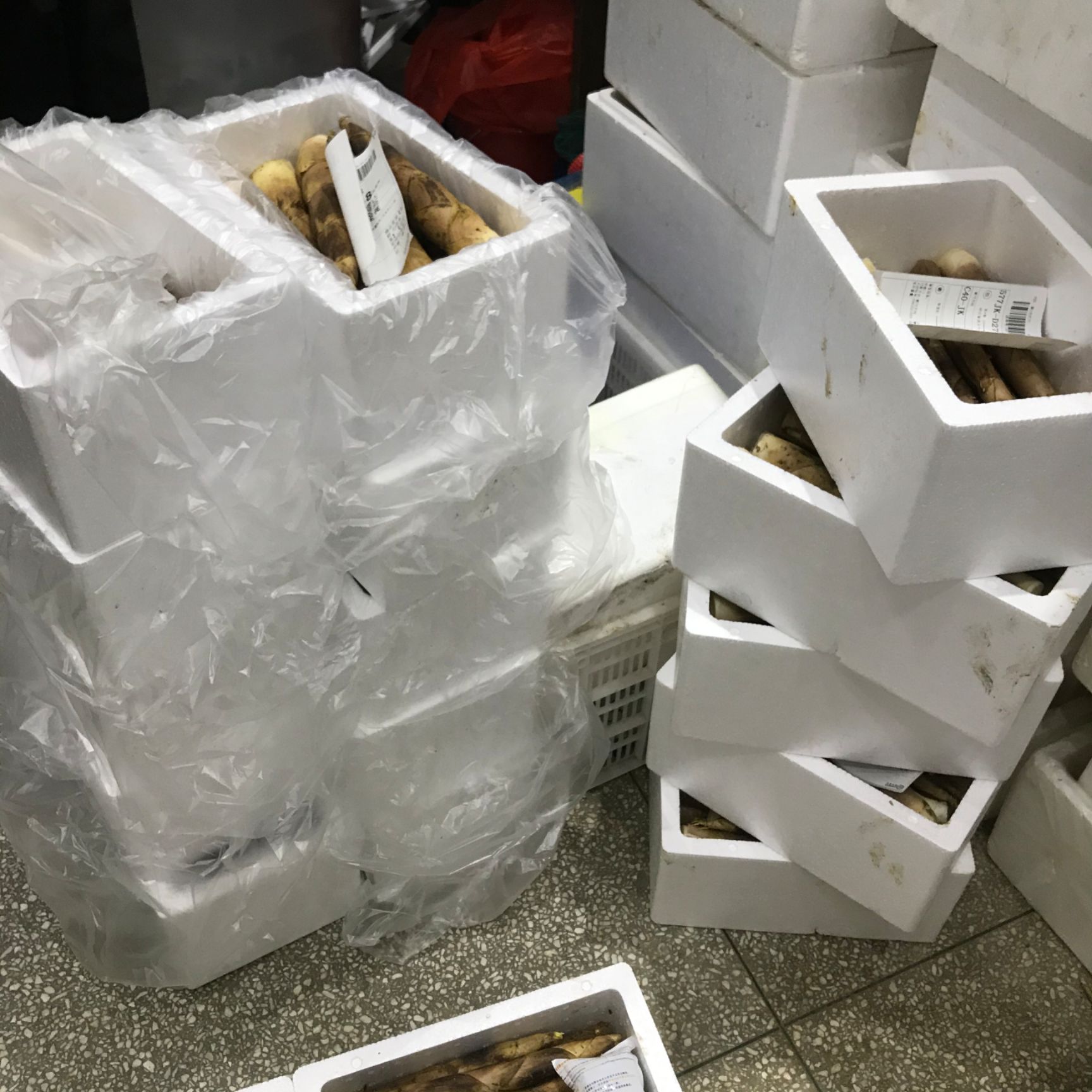春笋新鲜雷竹笋 原产地直发 1件代发竹笋 福建省南平市建瓯市