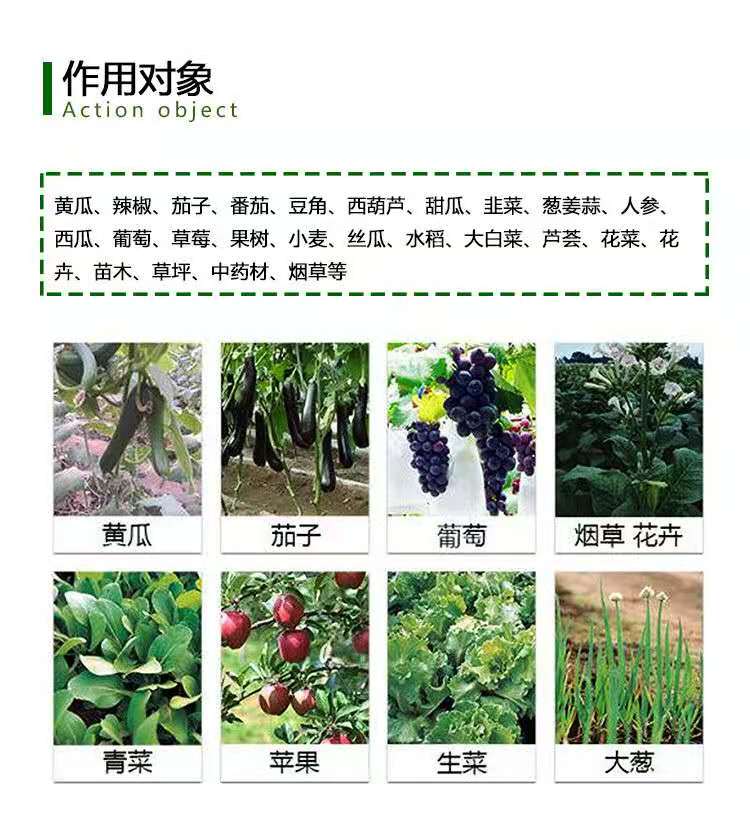 叶面肥  十四元素   叶面肥 十四元素   叶面喷施
