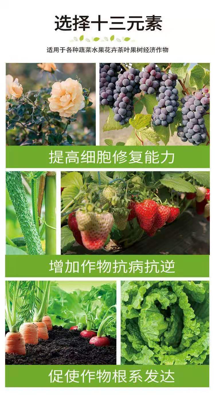叶面肥  十四元素   叶面肥 十四元素   叶面喷施