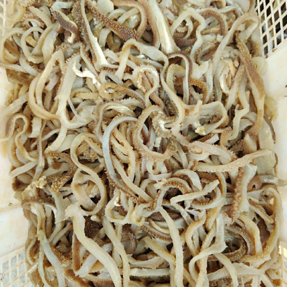 包邮羊肚丝绵羊肚水发羊肚新鲜羊杂四川重庆火锅食材真空包装